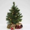Home Christmas Tree in Sack with LED Lights