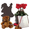 Home Father Christmas Silhouette Pot with Cyclamen With Diary And Teddy
