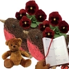 Home Pair of Robin Small Pots with Pansies a Diary and Teddy
