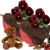 Home Pair of Robin Small Pots With Pansies And Teddy