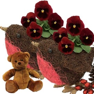 Home Pair of Robin Small Pots With Pansies And Teddy