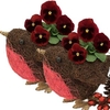 Home Pair of Small Robin Containers And Pansies