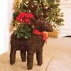 Home Reindeer Star Container with Cyclamen