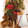 Home Reindeer Star Container with Cyclamen plus Diary and Teddy