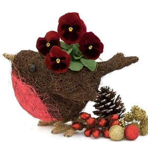 Home Robin Small Container with Pansies