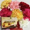 Mixed Christmas Carnations 10 Stems + Jersey Biscuits