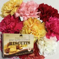Mixed Christmas Carnations 10 Stems + Jersey Biscuits