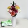 Mixed Christmas Carnations 10 Stems + Vase + &163;10 Plant Gift Voucher
