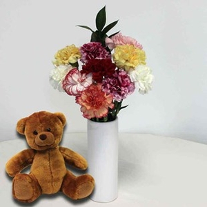Mixed Christmas Carnations 10 Stems + Vase + Cuddly Bear