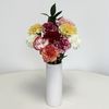 Mixed Christmas Carnations 10 Stems + Vase