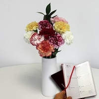 Mixed Christmas Carnations 10 Stems with Ceramic Vase plus Diary