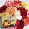 Mixed Christmas Carnations 15 Stems + Jersey Biscuits
