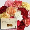Mixed Christmas Carnations 15 Stems + Jersey Fudge