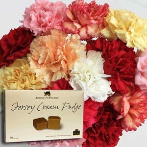 Mixed Christmas Carnations 15 Stems + Jersey Fudge
