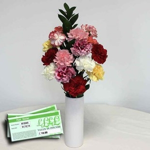 Mixed Christmas Carnations 15 Stems + Vase + &163;10 Plant Gift Voucher