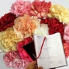 Mixed Christmas Carnations 15 Stems plus 2018 Diary