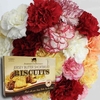 Mixed Christmas Carnations 20 Stems + Jersey Biscuits