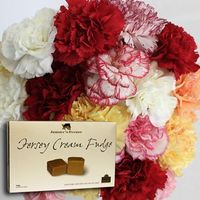 Mixed Christmas Carnations 20 Stems + Jersey Fudge