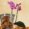 Moth Orchid Plant with Metal Planter + Cuddly Bear
