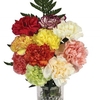 Mothers Day Mixed Carnations 10 Stems