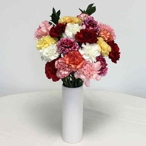 Mothers Day Mixed Carnations 20 Stems + Ceramic Vase