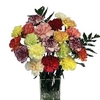 Mothers Day Mixed Carnations 20 Stems