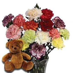 Mothers Day Mixed Carnations 15 Stems + Teddy