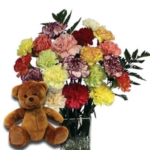 Mothers Day Mixed Carnations 20 Stems + Teddy