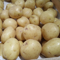 Nadine Seed Potatoes 2kg