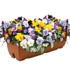 Pansy Cascadia Mix 1 Pre Planted Trough