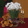 Paperwhite Daffodils in Ornate basket + Cuddly Bear