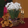 Paperwhite Daffodils in Rustic basket + Cuddly Bear