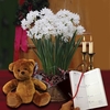 Paperwhite Daffodils in Rustic basket + Cuddly Bear plus Diary