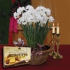 Paperwhite Daffodils in Rustic basket + Jersey Shortbread