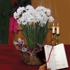 Paperwhite Daffodils in Rustic basket plus Diary