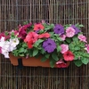 Petunia Grand Prix (Semi Trailing) 2 Pre-Planted Troughs
