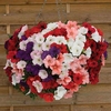 Petunia Magica Mixed (Semi-Trailing) 12 Mega Plants