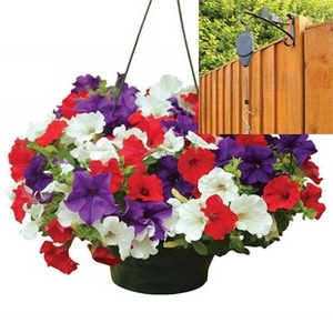 Petunia Surfinia Classic 2 Pre-Planted Plastic Hanging Baskets And Pulleys
