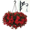 Petunia Surfinia Classic Dark Red 2 Pre-Planted Plastic H/Baskets with Wall Brackets