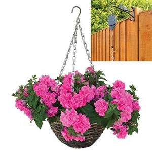 Petunia Tumbelina Scented Dark Pink 2 Pre-Planted Rattan H/Baskets with Pulleys