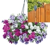 Petunia Tumbelina Scented Trailing Mix 2 Pre-Planted Plastic Hanging Baskets And Pulleys