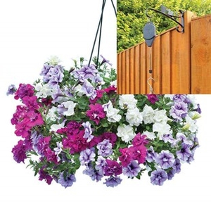 Petunia Tumbelina Scented Trailing Mix 2 Pre-Planted Plastic Hanging Baskets And Pulleys