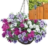 Petunia Tumbelina Scented Trailing Mix 2 Pre-Planted Rattan Hanging Baskets And Pulleys