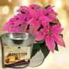 Princettia Plant with Metal Planter + Jersey Shortbread