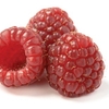 Raspberries 5 Plants Bare Root