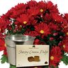 Red Chrysanthemum 1 Plant + Planter + Jersey Fudge + FREE Diary