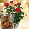 Red Rose Plant with Metal Planter + Cuddly Bear