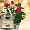 Red Rose Plant with Metal Planter + Jersey Fudge
