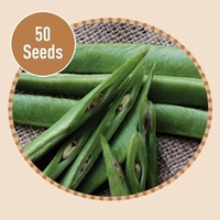 Runner Bean Scarlet Emperor 50 Seeds
