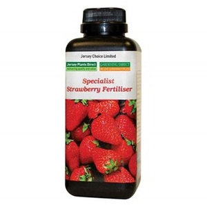 Strawberry Fertiliser 500ml